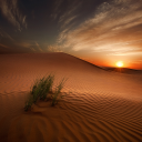 Image_500px__Photo_Desert_Light_by_Ahmed_Altoqi